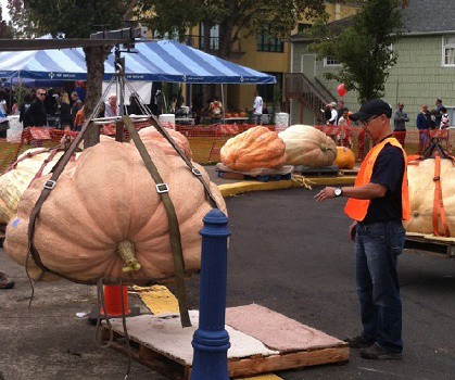 west-coast-giant-pumpkin-regatta-tualatin-or